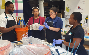 Cass leading fiber arts activity