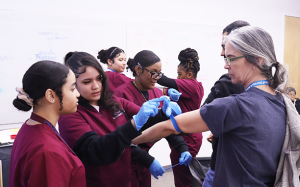 Students practice putting a tourniquet on a staff-educator's arm