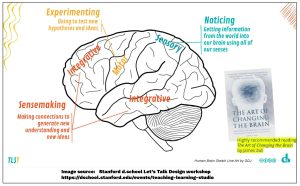 illustration of brain with functional areas highlighted